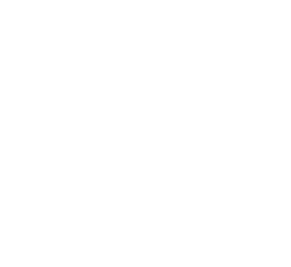 JST MVE. Movement, Vigour, Energy.