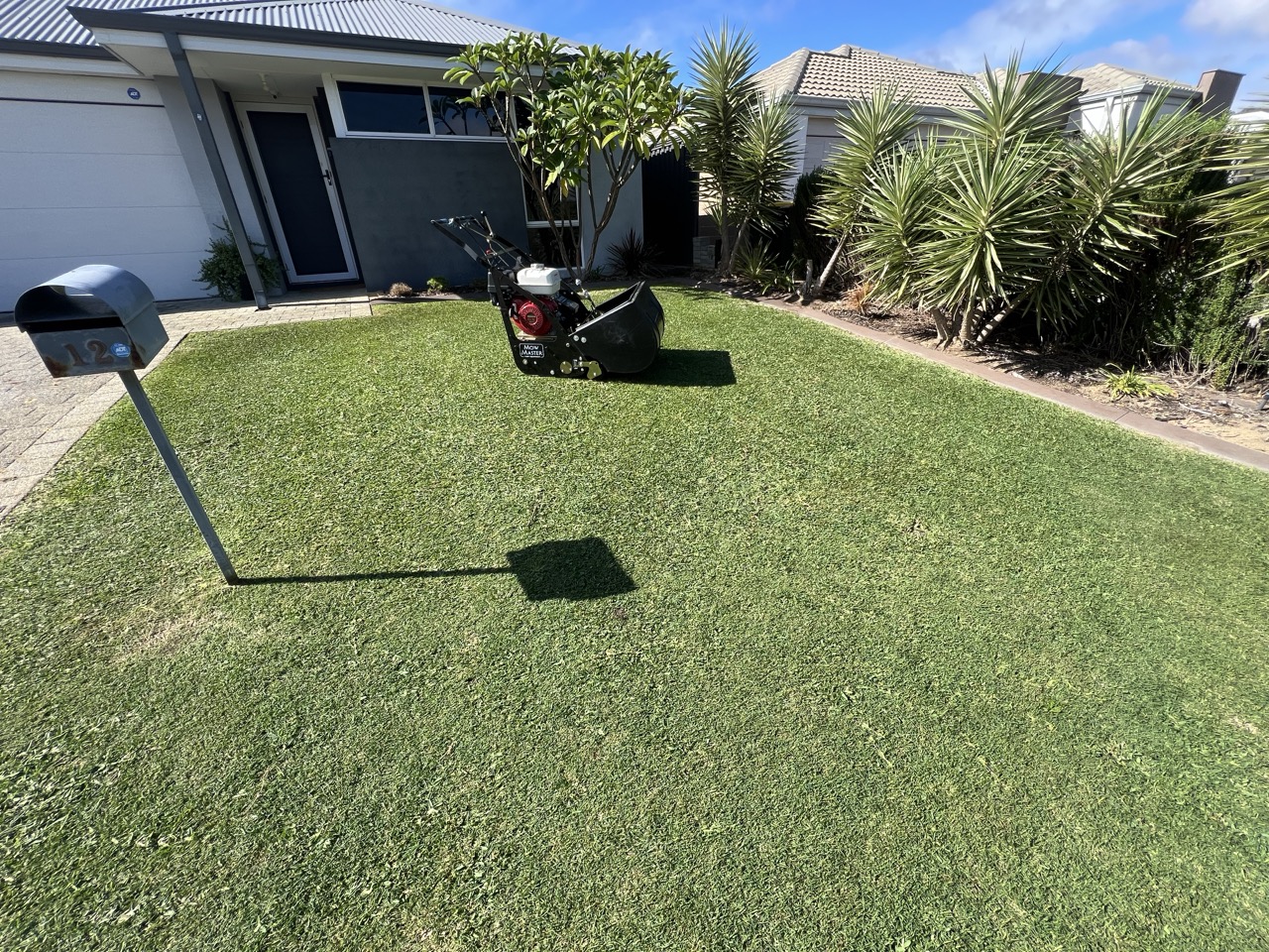 A lawn being renovated by Cotton's Mowing