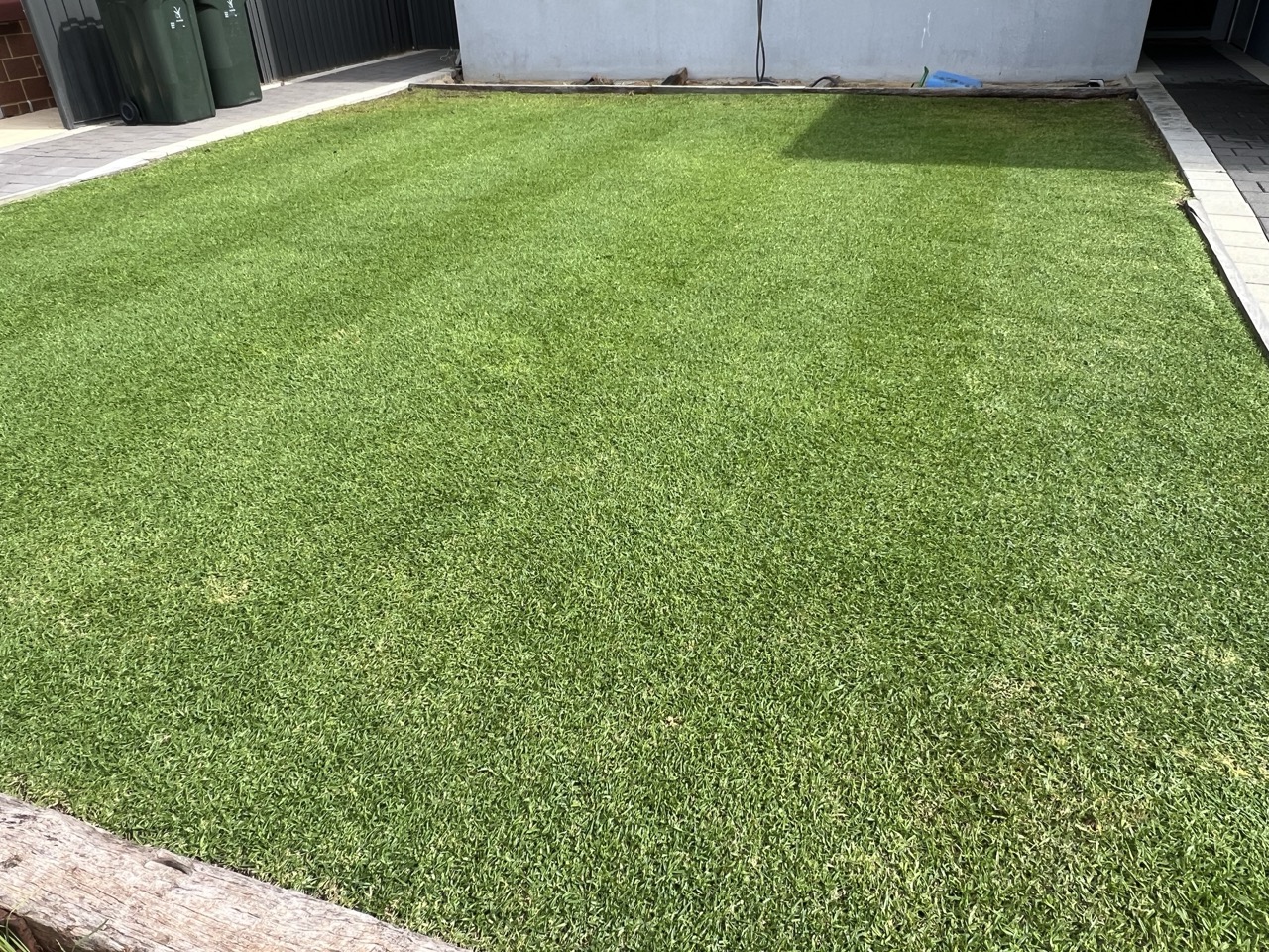 A healthy, well-maintained lawn mown on a regular schedule by Cotton's Mowing