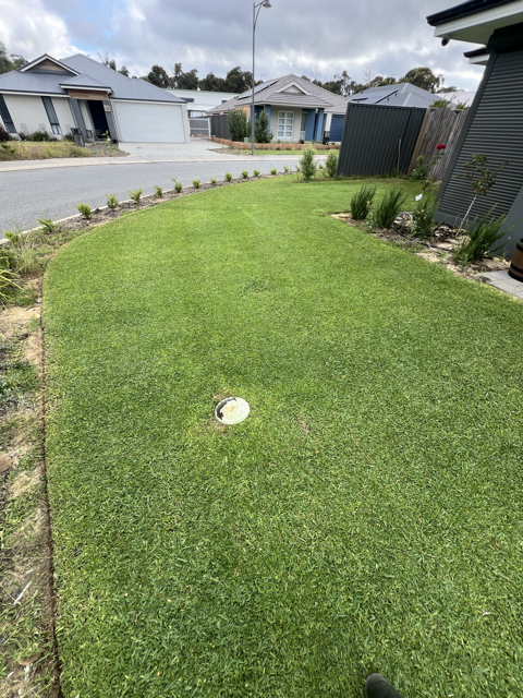 A green lawn maintained on a set schedule by Cotton's Mowing