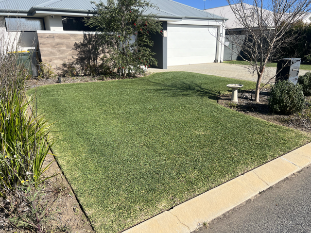 A freshly mown lawn with neat stripes by Cotton's Mowing