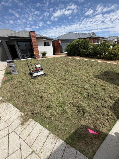 Cotton's Mowing carrying out a vertimowing renovation with specialist machinery