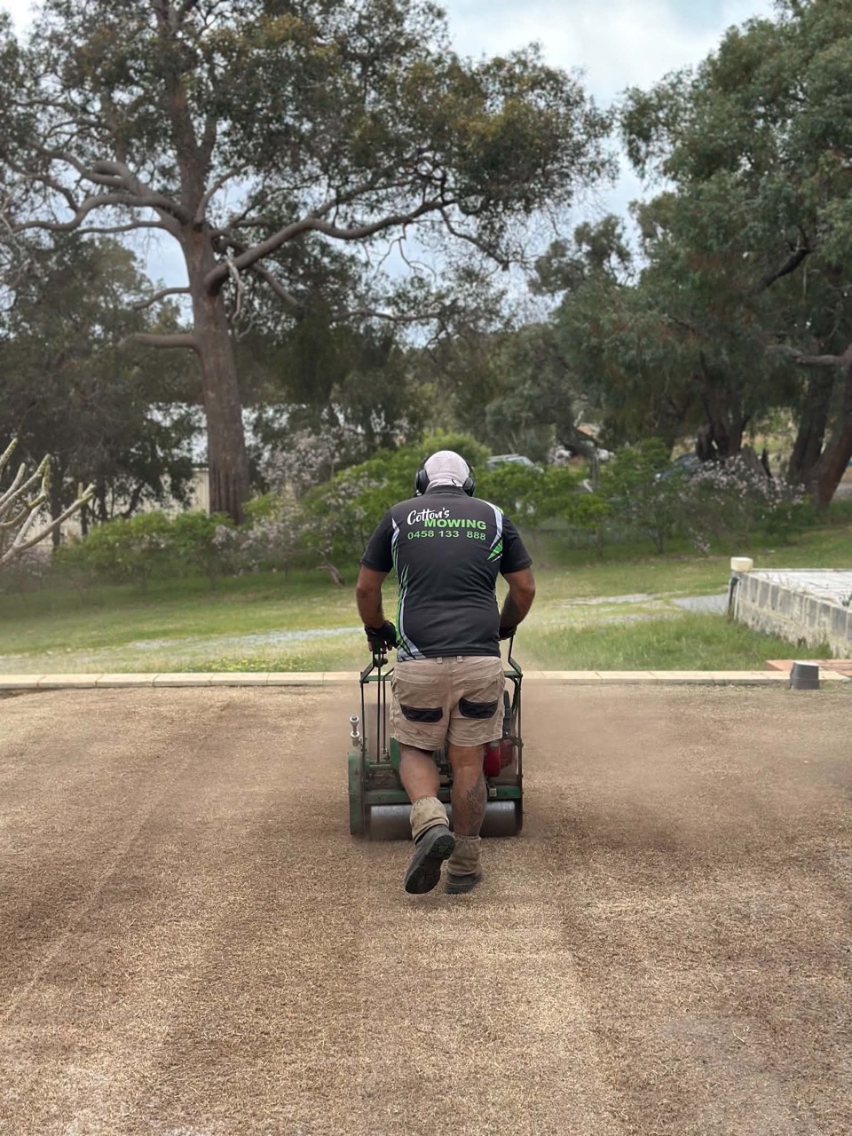 Cotton's Mowing vertimowing a lawn to remove built-up thatch