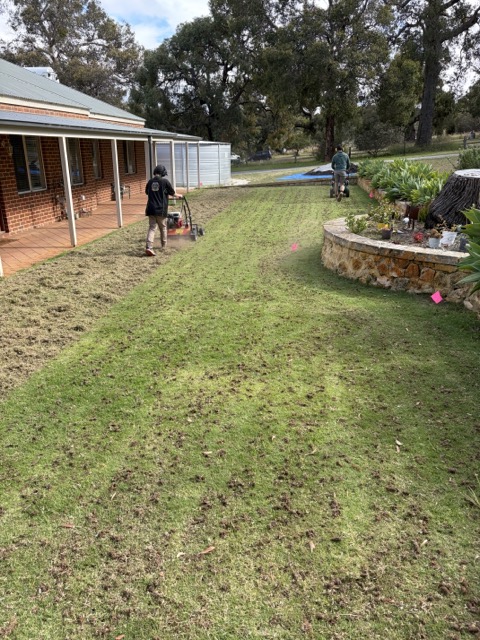 Coring machinery in use on a lawn by Cotton's Mowing