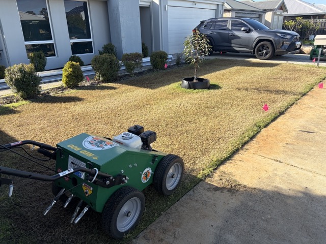 A lawn being cored by Cotton's Mowing to relieve soil compaction