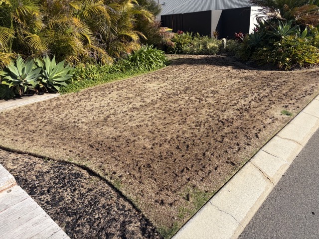 Cotton's Mowing coring a lawn to open up compacted soil