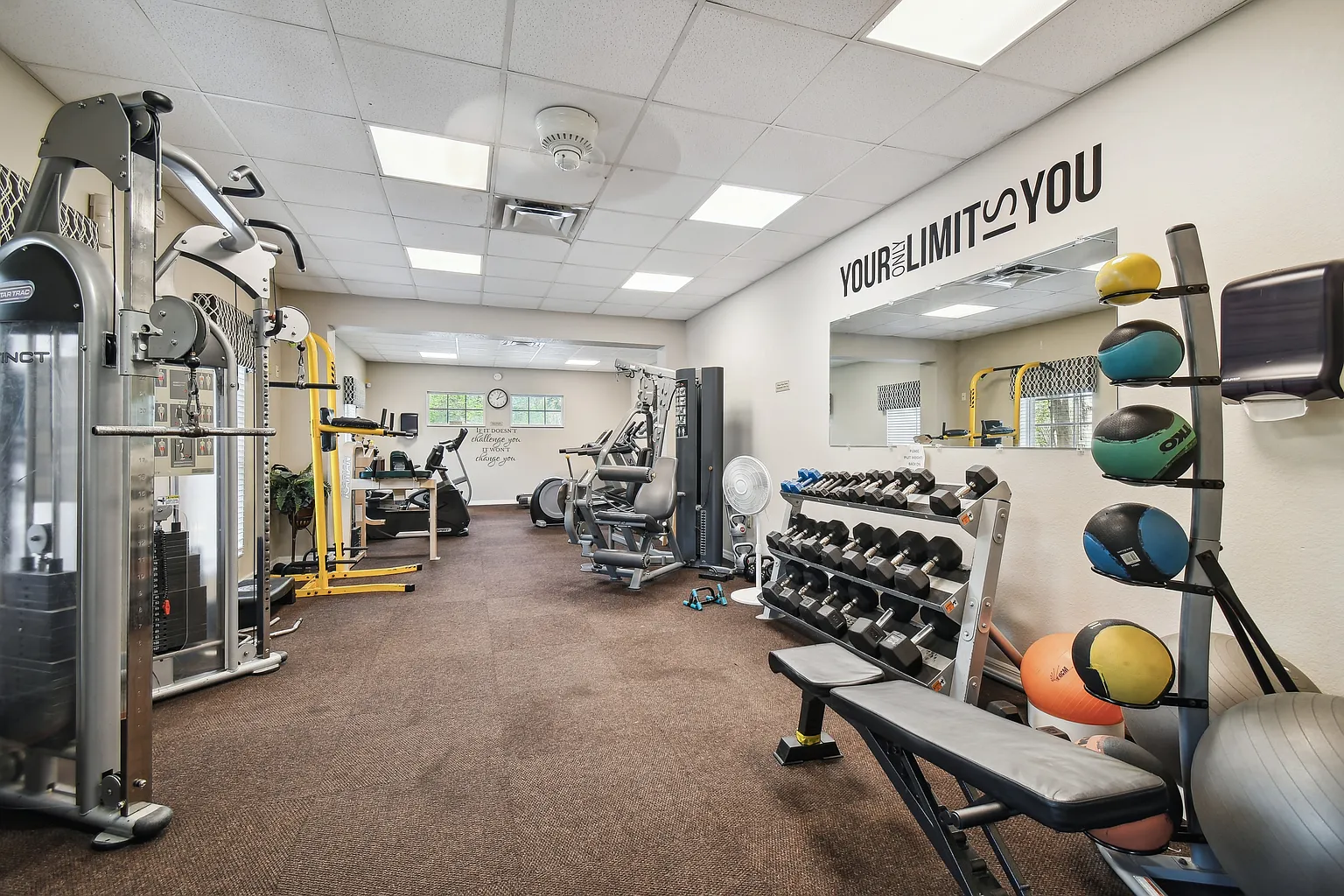 Amenities gym at 3125 Ashmonte Dr, Land O Lakes FL