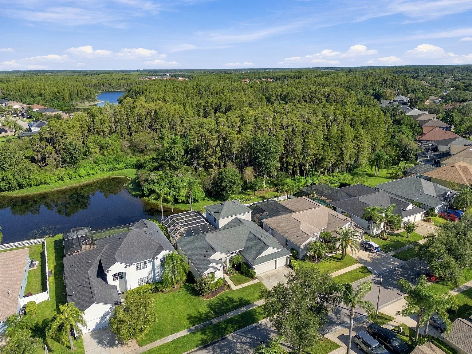 Aerial drone view of the house at 3125 Ashmonte Dr, Land O Lakes FL