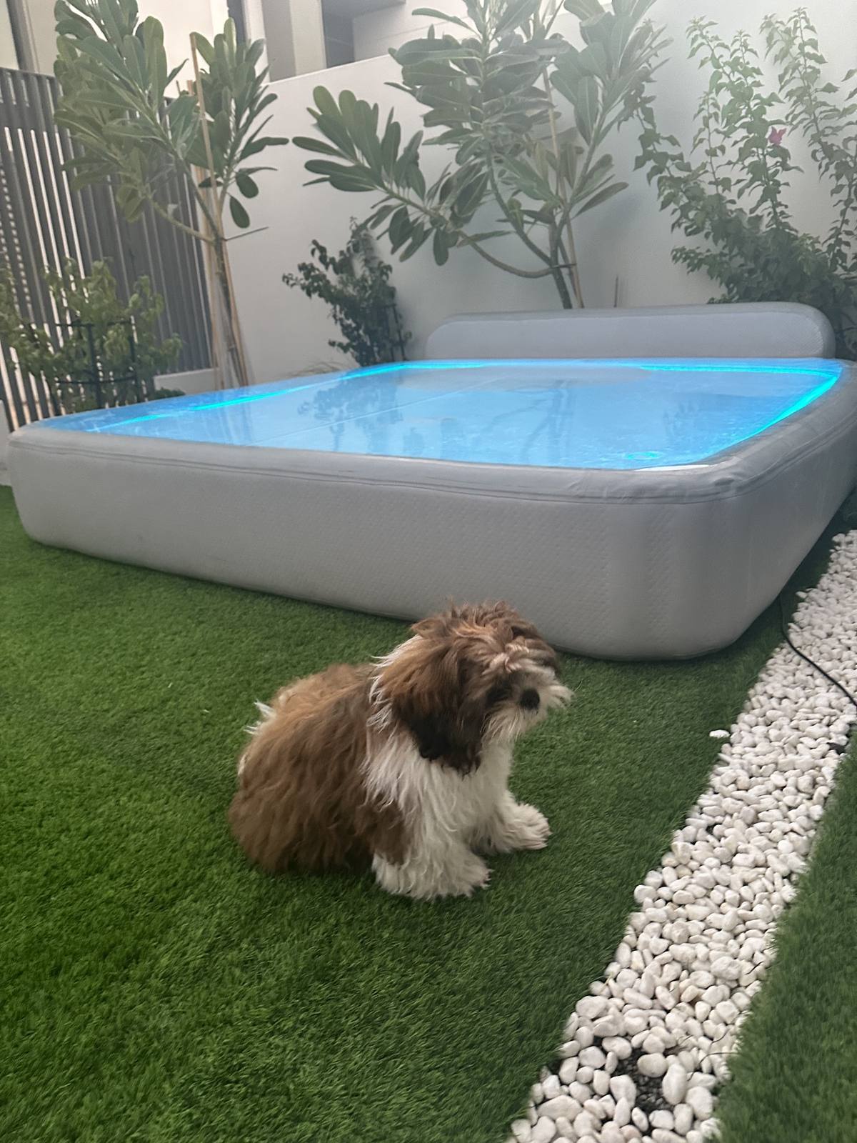 Garden Companion