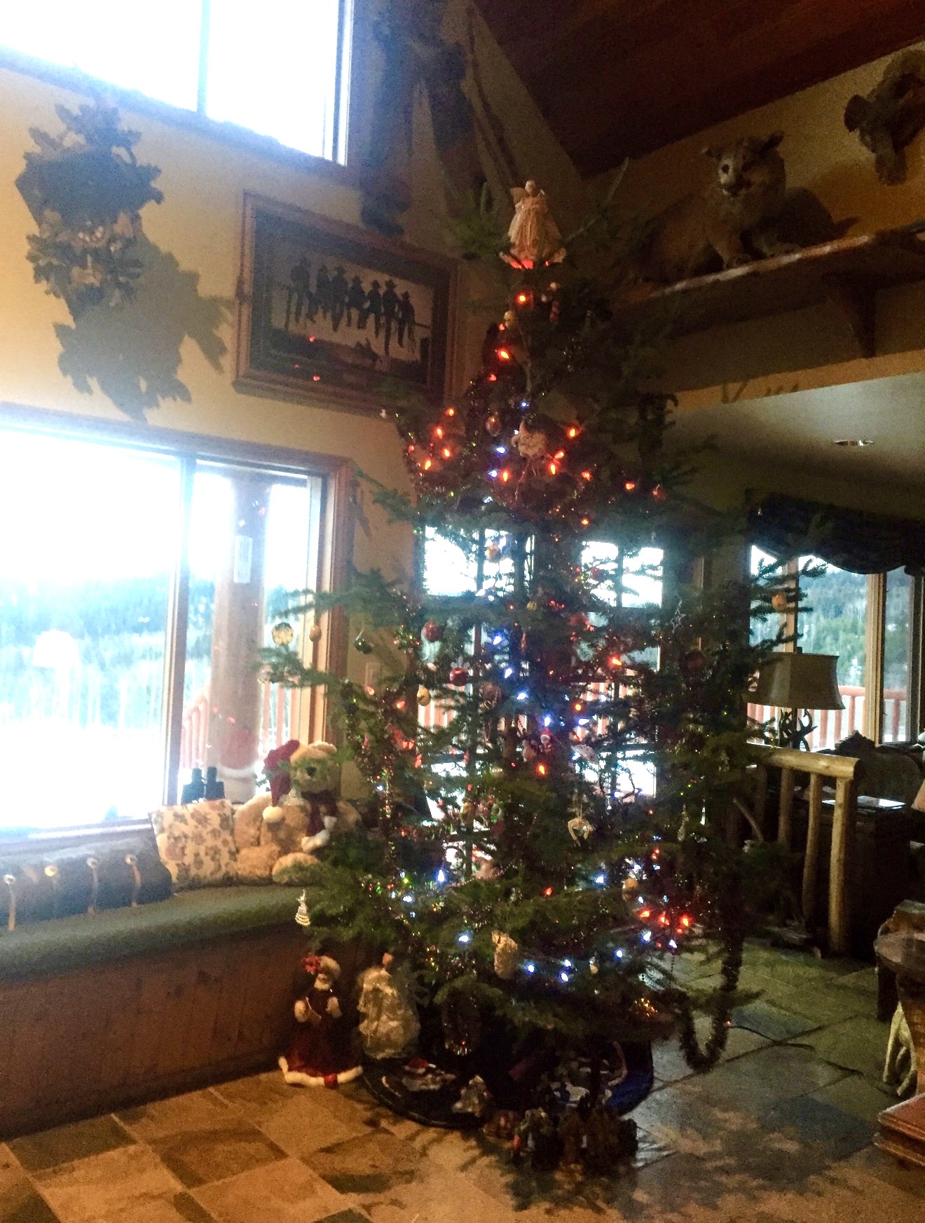 Christmas Tree at Canadian Ranch