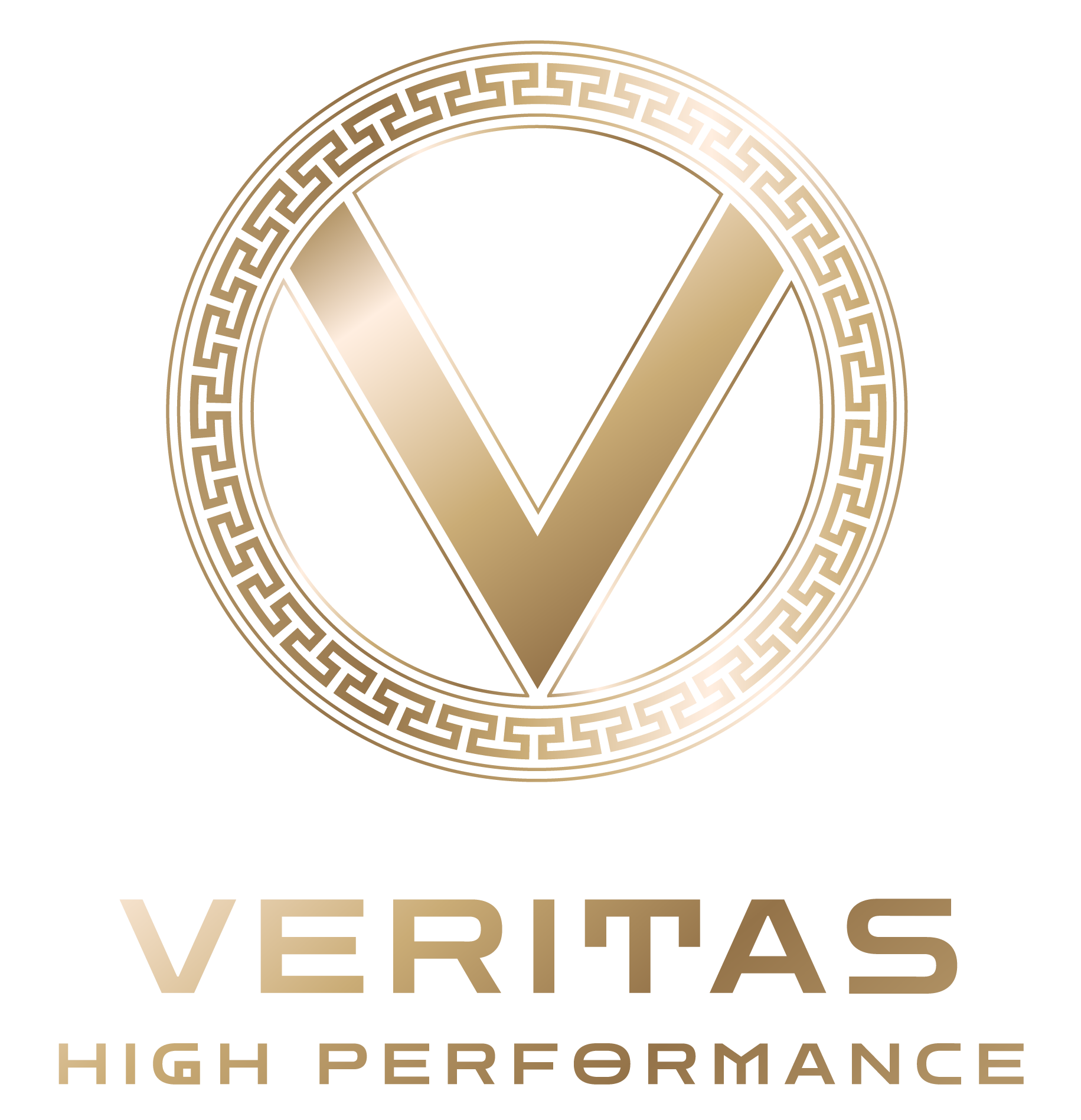 Veritas High Performance - Official Kaizen Summit Partner Logo