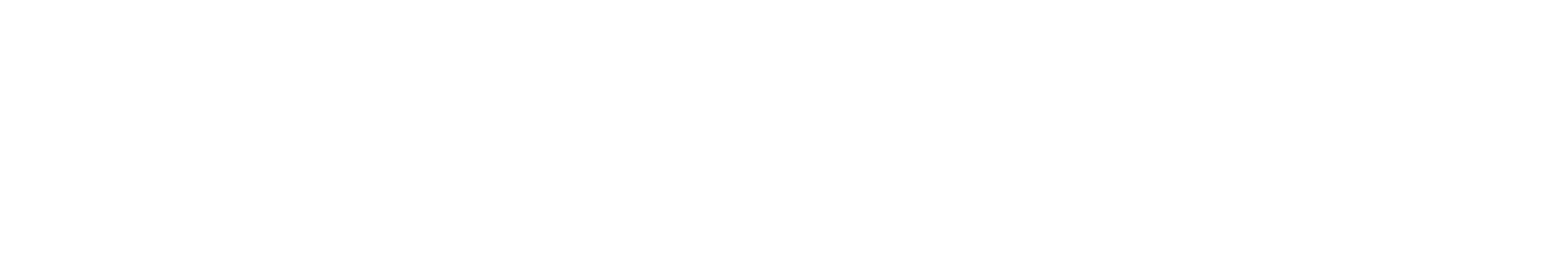 Wealth Mentor