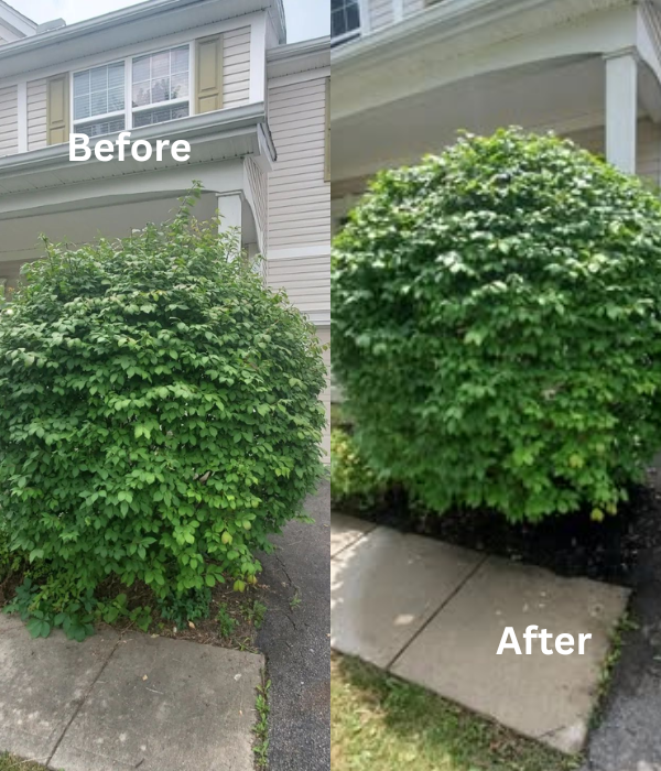 Professional house washing Columbus Ohio - Deep Ocean Clean LLC