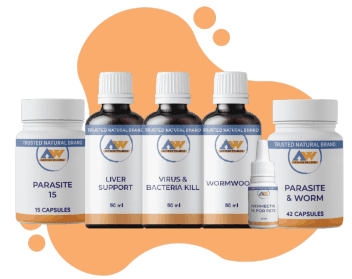 Dr Hester van der Merwe Parasite Bundle