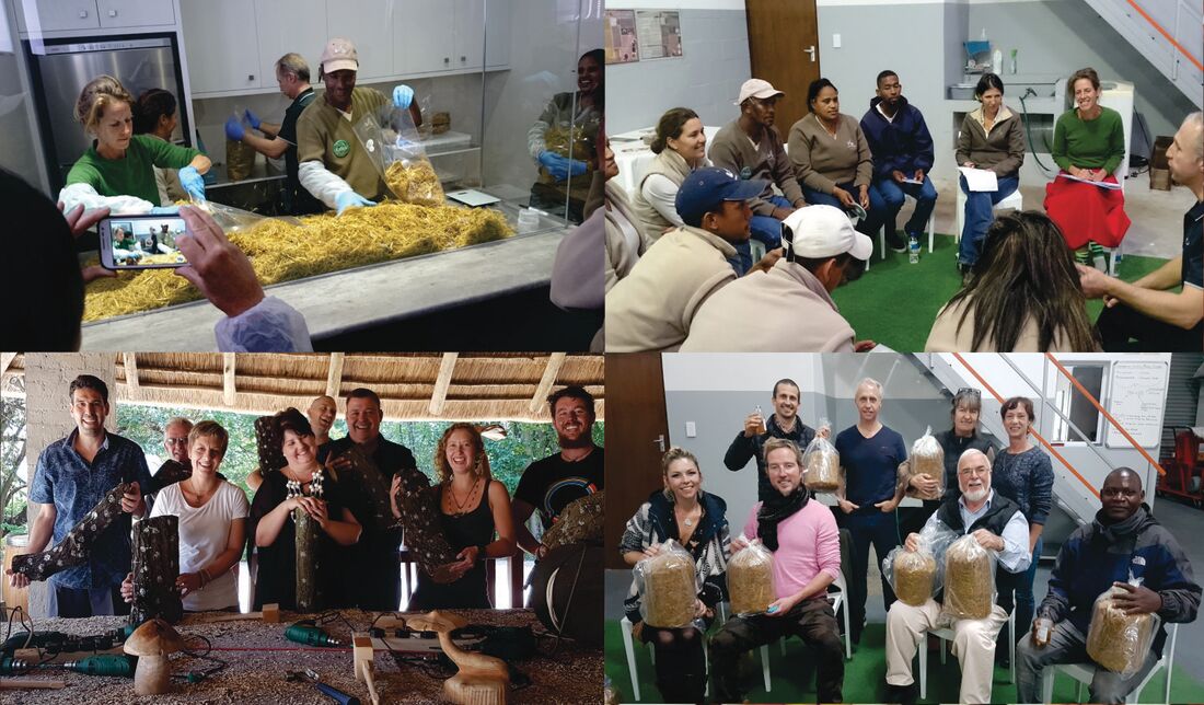 Mushroom Cultivation & Community