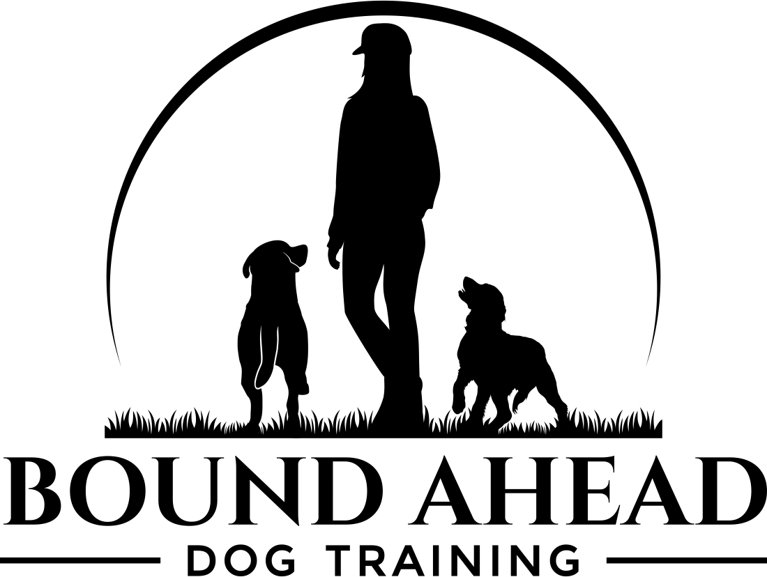 Clare business logo