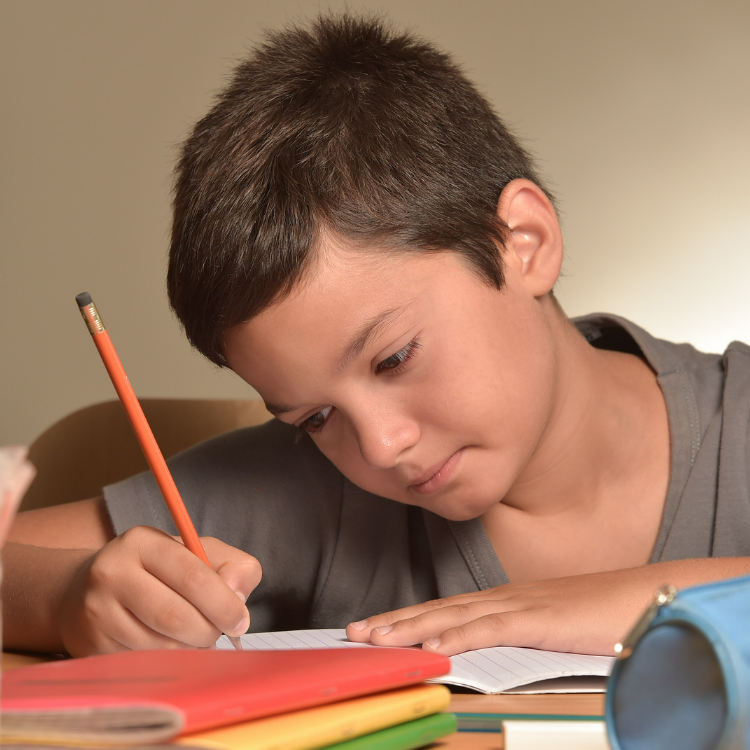 Young boy learning