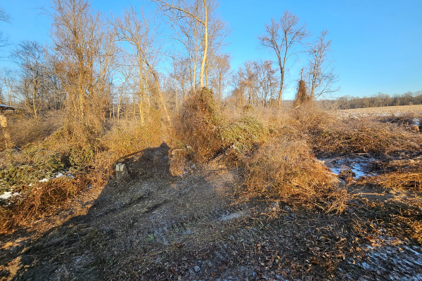 before clear cut land clearing newton hamilton pa before clear cut land clearing newton hamilton pa