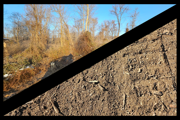 Land Clearing for Agricultural Use in Newton Hamilton, PA