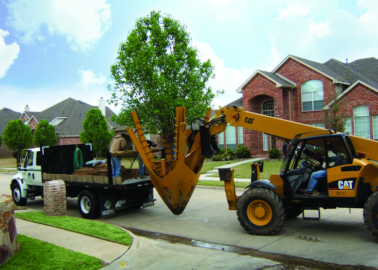 Stump Grinding vs. Stump Removal: Cost, Process, and Which to Choose Stump Grinding vs. Stump Removal: Cost, Process, and Which to Choose