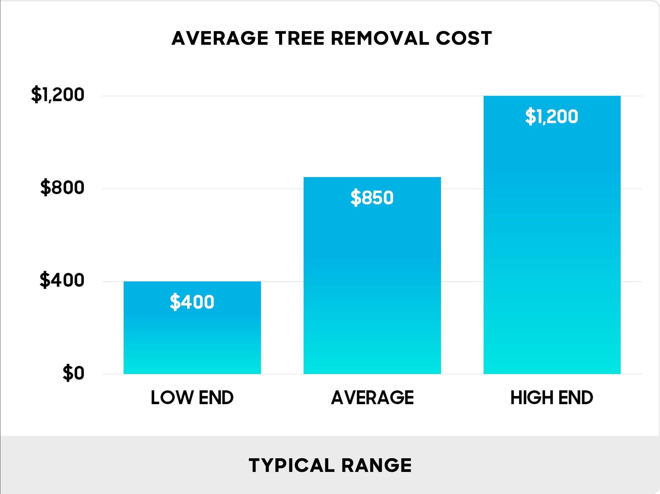 Residential Logging Services: What Homeowners Need to Know
