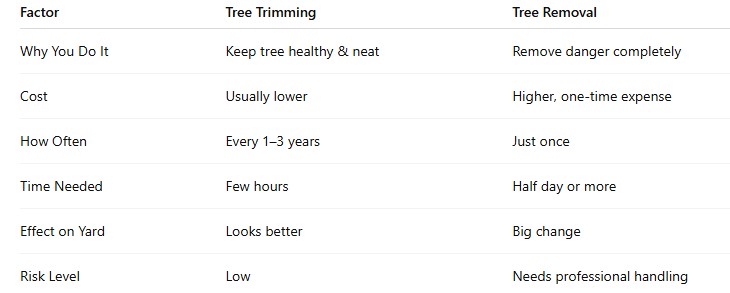 How to Choose Between Tree Removal and Tree Trimming