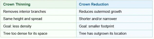 Side-by-side comparison table of crown thinning versus crown reduction for Snohomish WA trees: crown thinning removes interior branches to reduce density without changing tree size, while crown reduction trims outermost growth to shrink the overall canopy footprint Side-by-side comparison table of crown thinning versus crown reduction for Snohomish WA trees: crown thinning removes interior branches to reduce density without changing tree size, while crown reduction trims outermost growth to shrink the overall canopy footprint