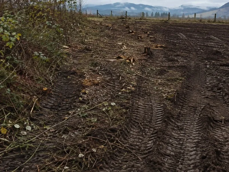 Freshly cleared Skykomish Valley lot with equipment tracks and stumps — land clearing in Monroe, WA