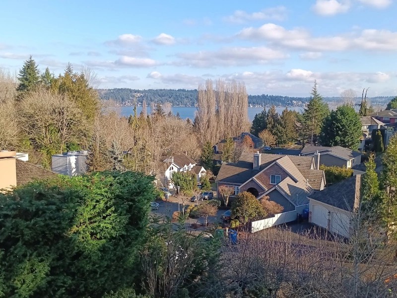 Aerial view of residential rooftops and dormant tree canopy overlooking Puget Sound — tree trimming service near me in Western Washington Aerial view of residential rooftops and dormant tree canopy overlooking Puget Sound — tree trimming service near me in Western Washington