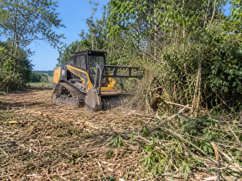 Forestry mulcher clearing dense brush and small trees during a land clearing project.