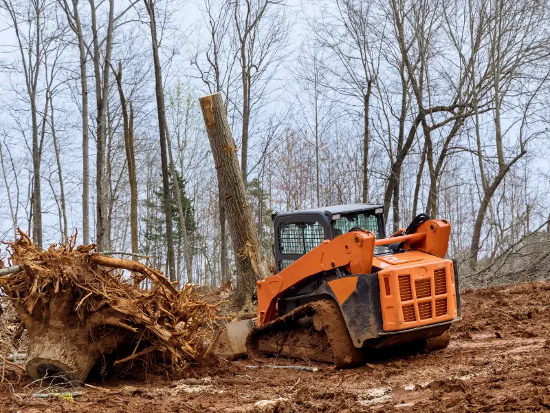 Landscaping contractor using a compact loader to remove a large tree stump and exposed roots from a residential property.