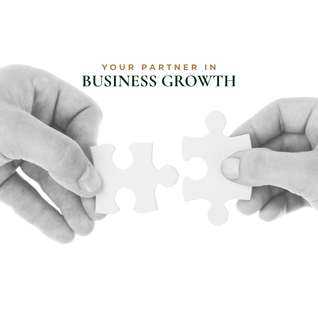 H Growth Ally strategic business consulting