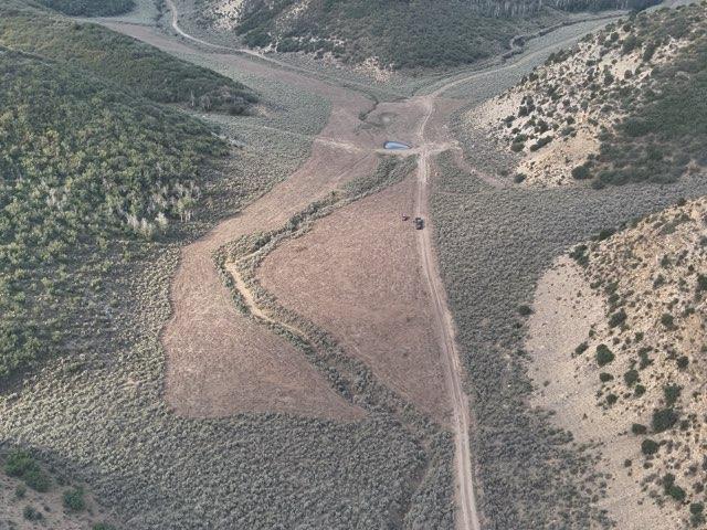 Cleared forest with defensible space