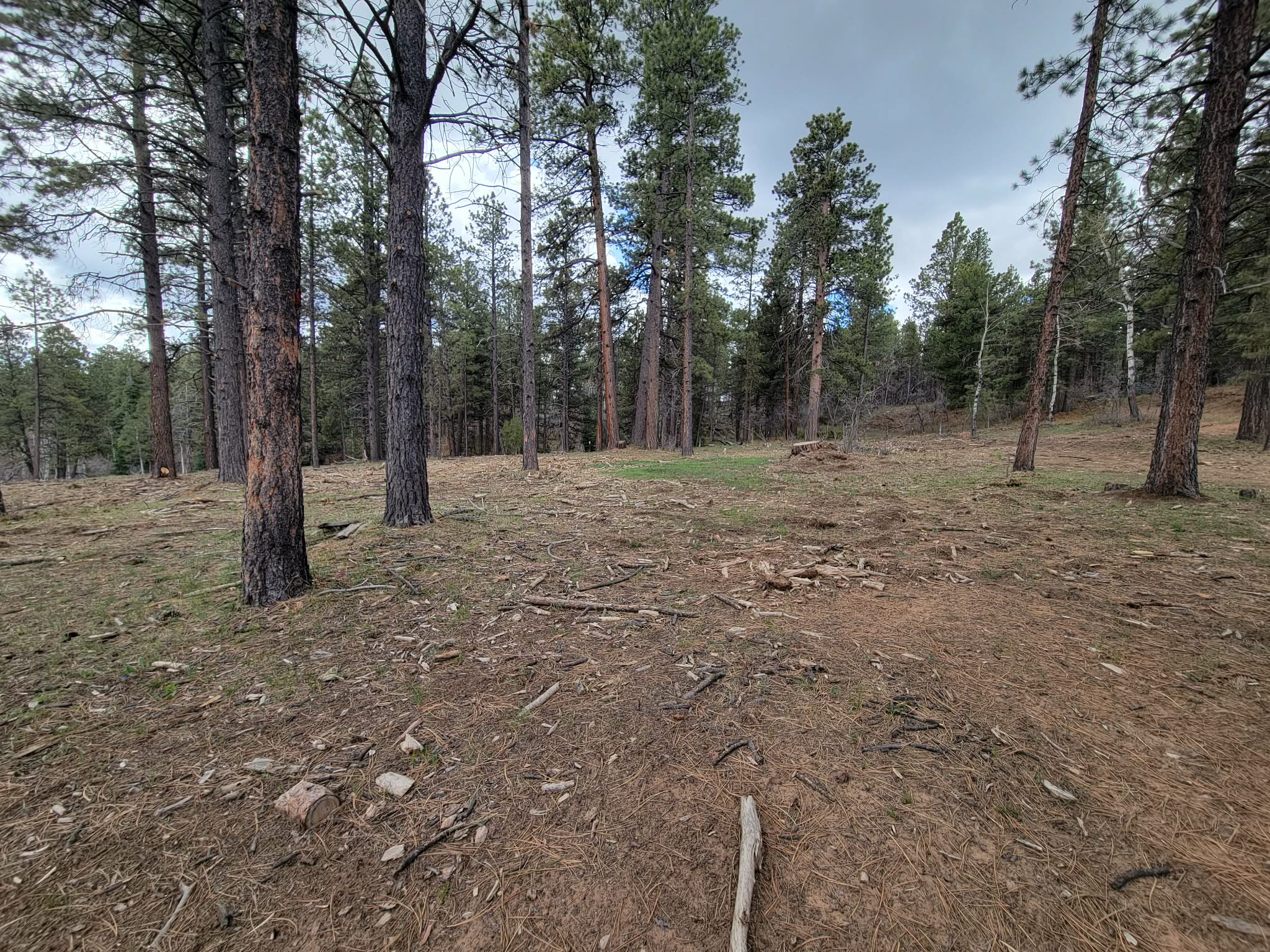 Wildfire Mitigation