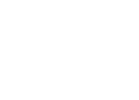 Aroeira Investment Partners