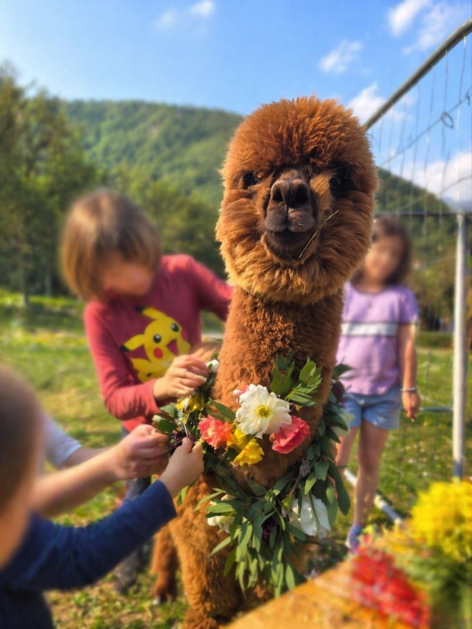 Bambini che decorano un alpaca con una ghirlanda di fiori