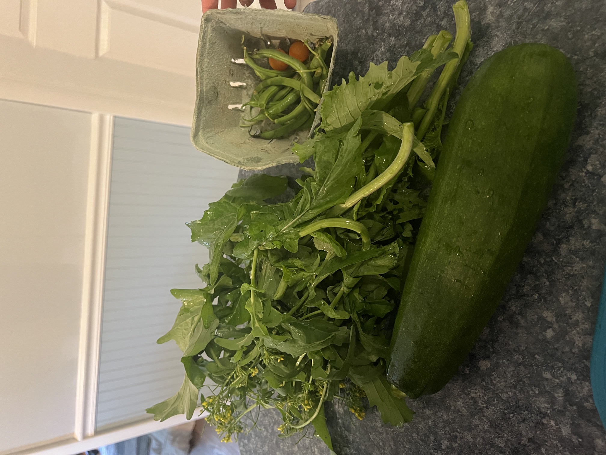 Garden photo