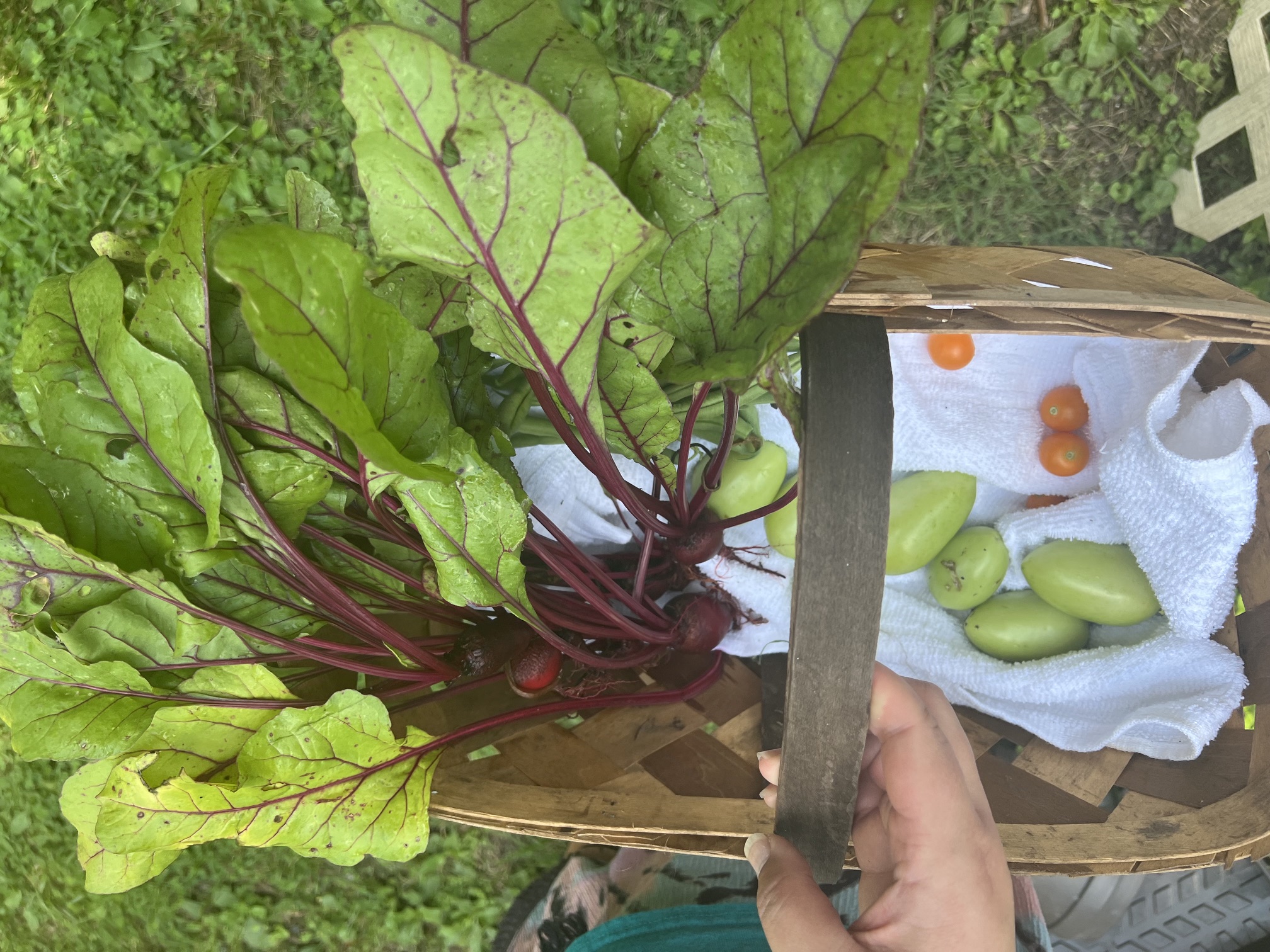 Garden photo
