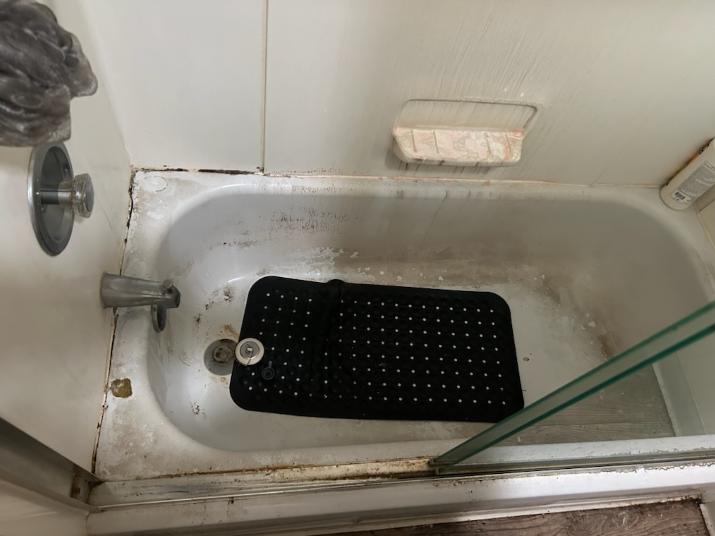 Before move out cleaning service