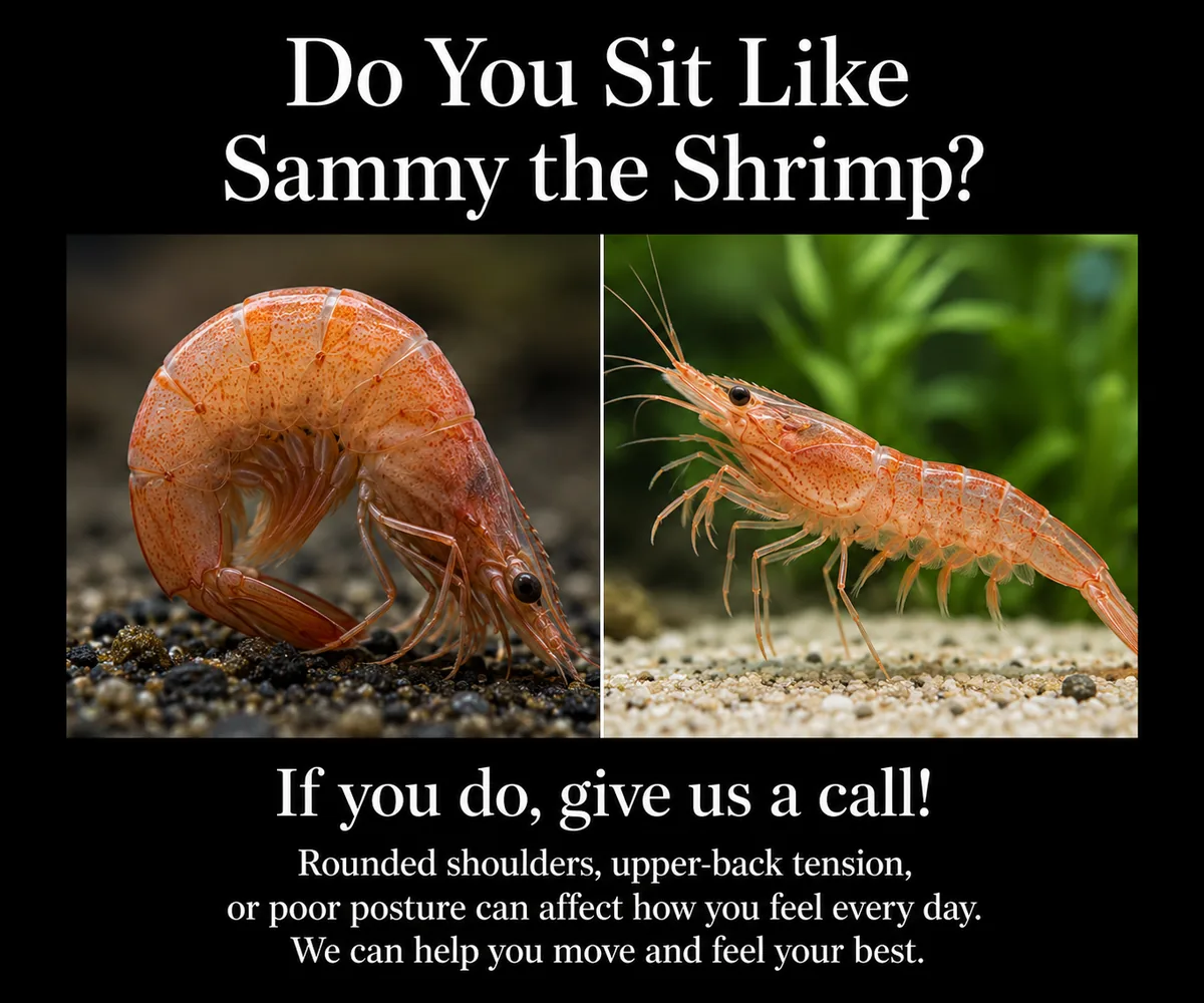 A BiteBot for Medical chiropractic posture ad comparing poor posture to a shrimp.