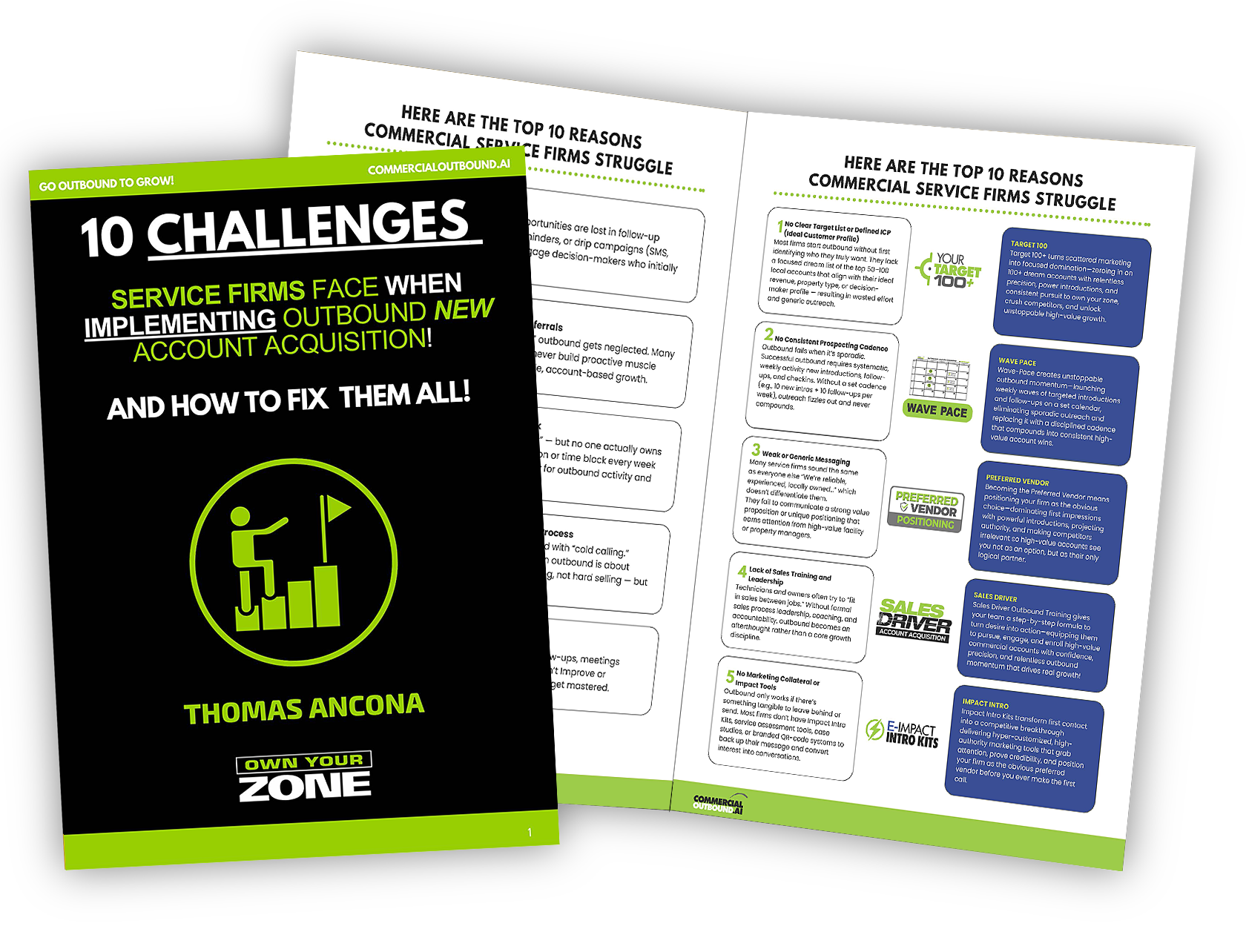 Professional Guide PDF Cover