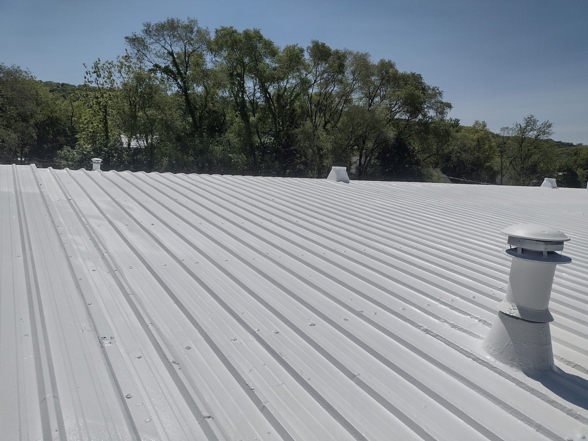 A pristine white metal roof with corrugated panels and visible fasteners, featuring multiple roof vents and chimneys against a clear blue sky and tree line, showcasing quality commercial roofing installation. - Schultz Roofing, Inc A pristine white metal roof with corrugated panels and visible fasteners, featuring multiple roof vents and chimneys against a clear blue sky and tree line, showcasing quality commercial roofing installation. - Schultz Roofing, Inc
