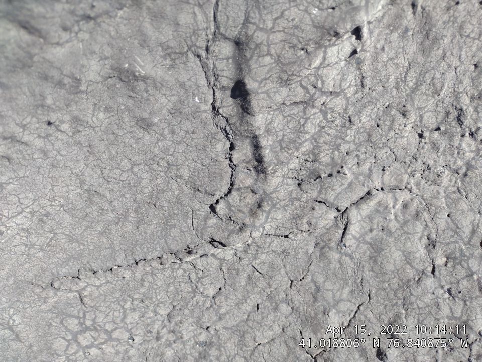 Close-up view of a deteriorating flat roof showing significant rust damage, peeling coatings, and metal corrosion around roof penetrations and seams. - Schultz Roofing, Inc