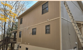 Advanced Painting Professionals
