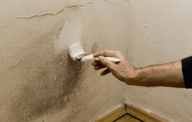 Outdated wall paint color that looks dated and needs refreshing