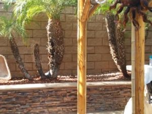 {{ custom_values.service_4 }} in {{custom_values.area_7})