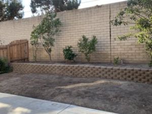 {{ custom_values.service_3 }} in {{custom_values.area_1})