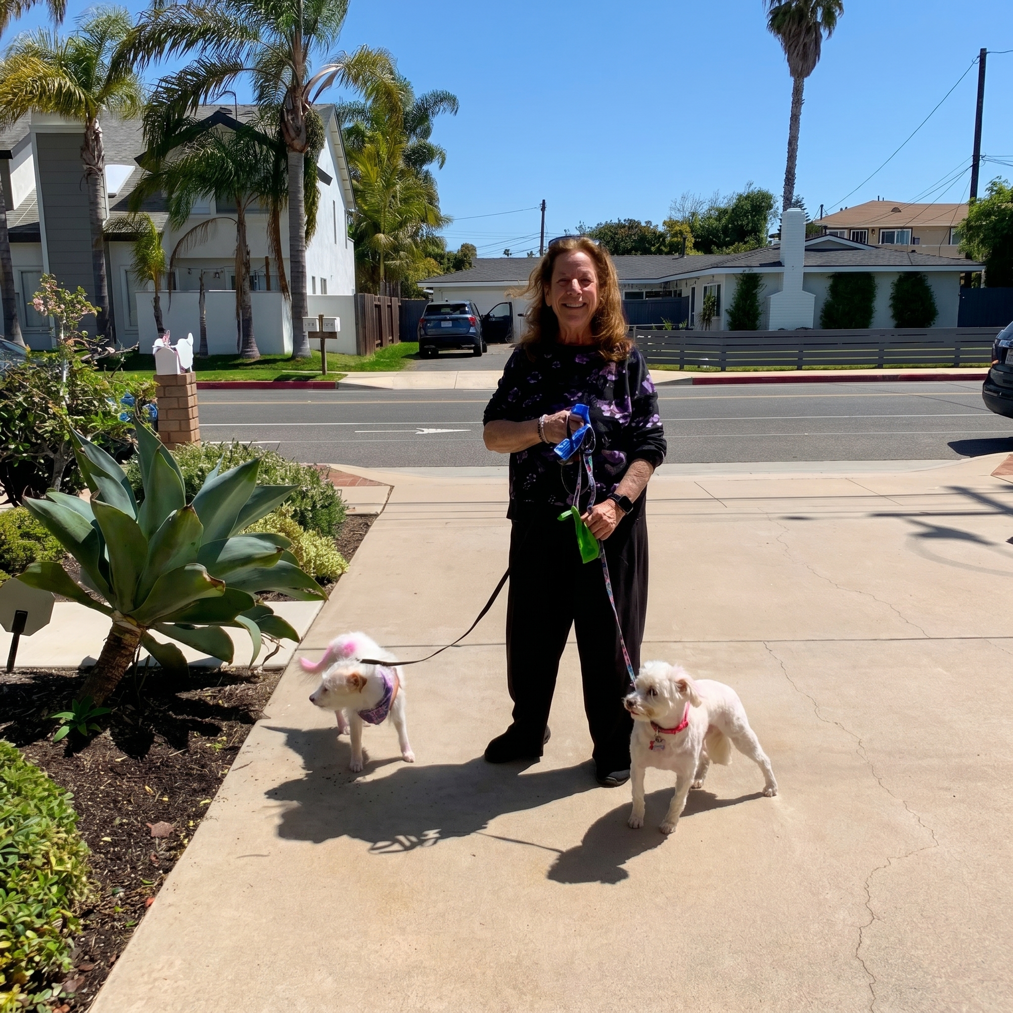 A happy dog cared for by A Walk While You Work pet sitting in Orange County