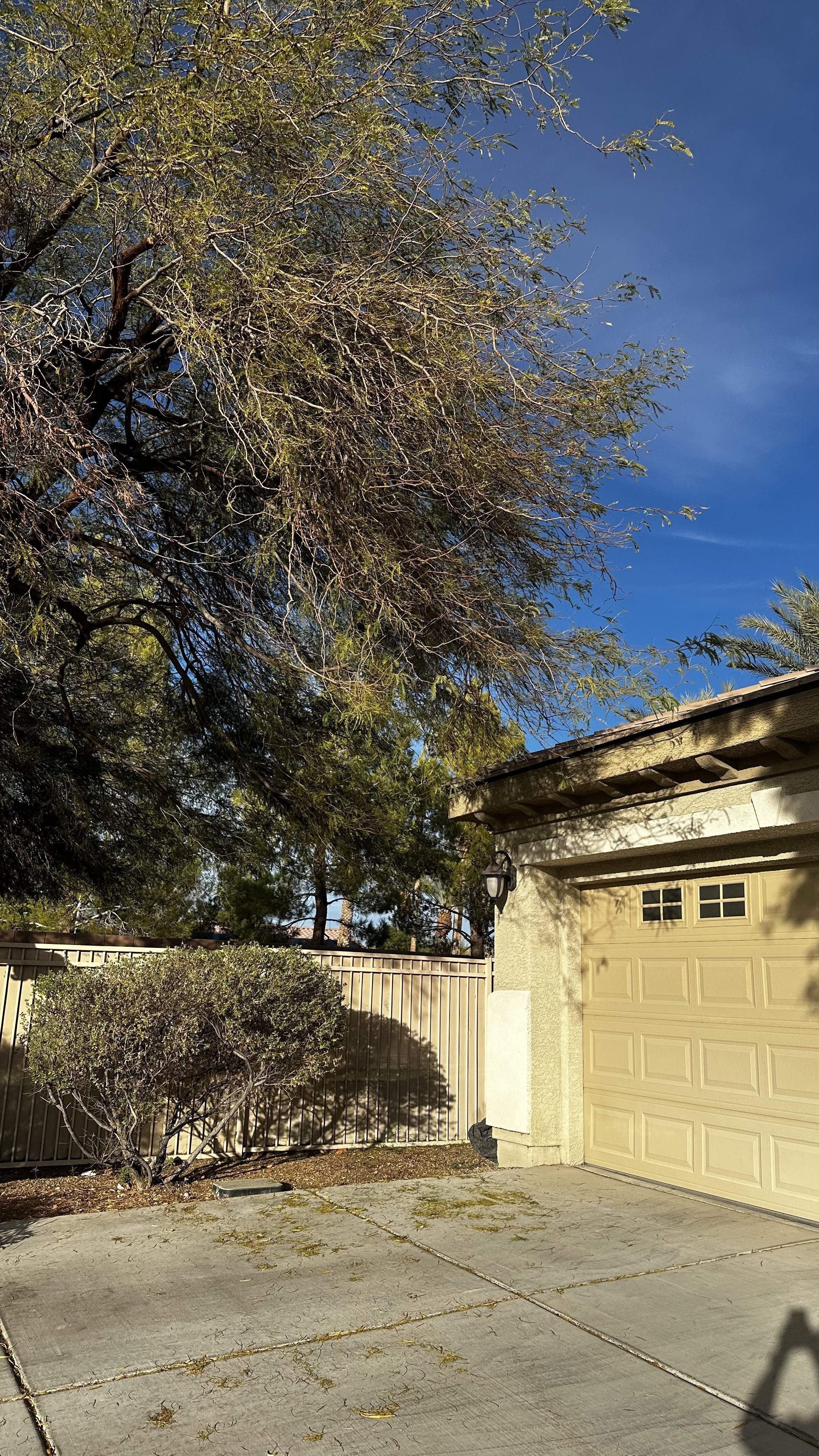 Primary job-site repair detail from a Local Handyman project in Las Vegas related to fence and gate repair.