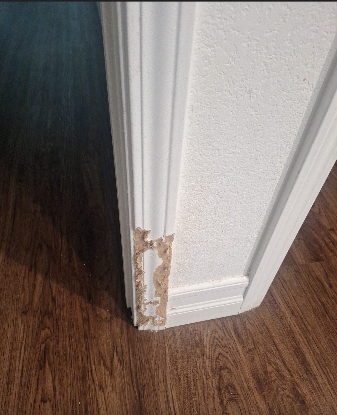 Additional job-site repair detail from a Local Handyman project in Las Vegas related to door repair.